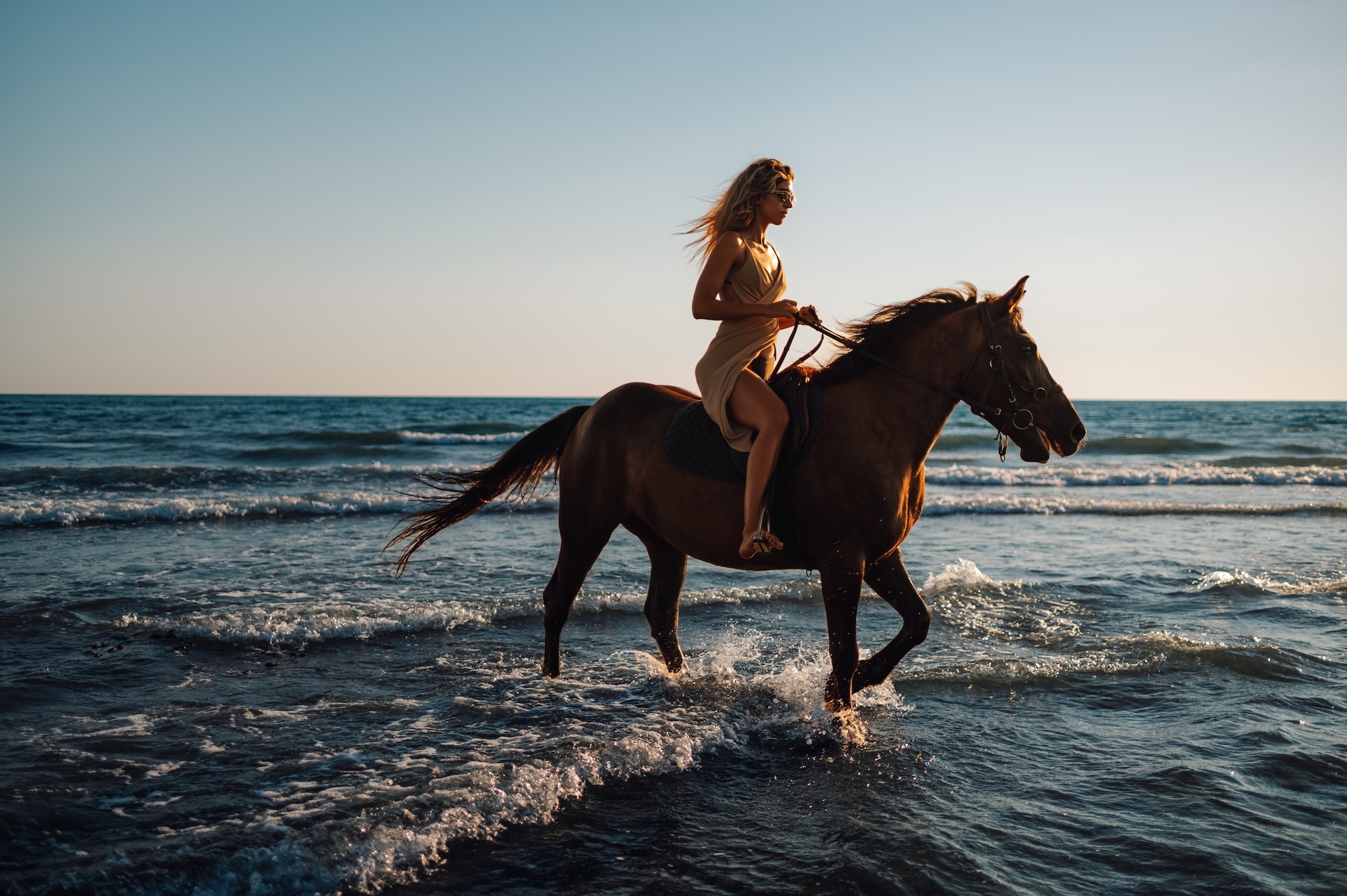 Horseback riding on the beach in Tampa Bay, Florida